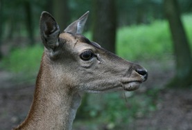 IMG_1915